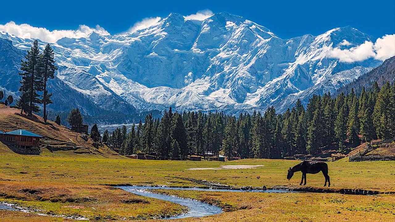Killer Mountain Nanga Parbat