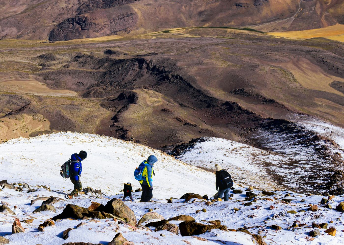 People Walking To Get TIMS Card