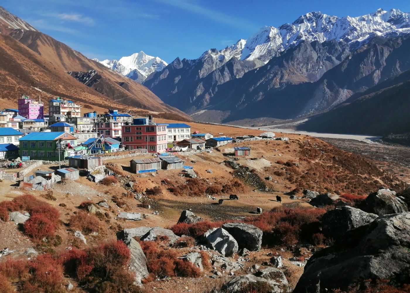 Langtang Valley Trek
