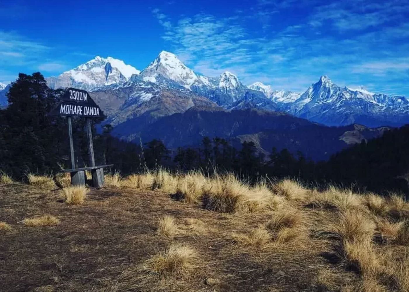 Mohare Danda Trek