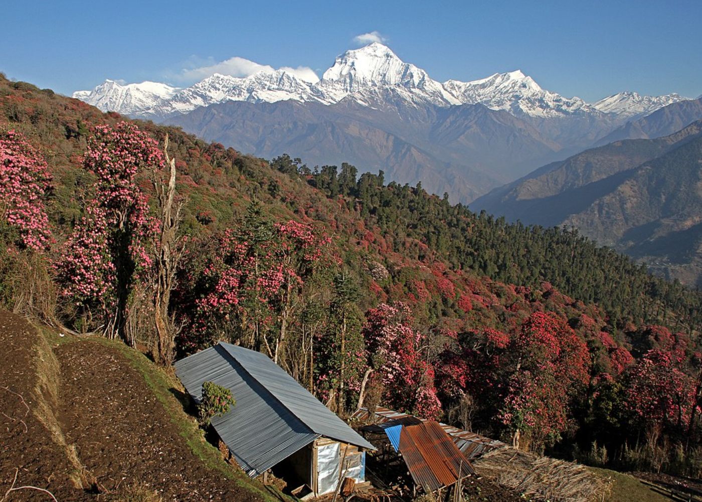 Ghorepani