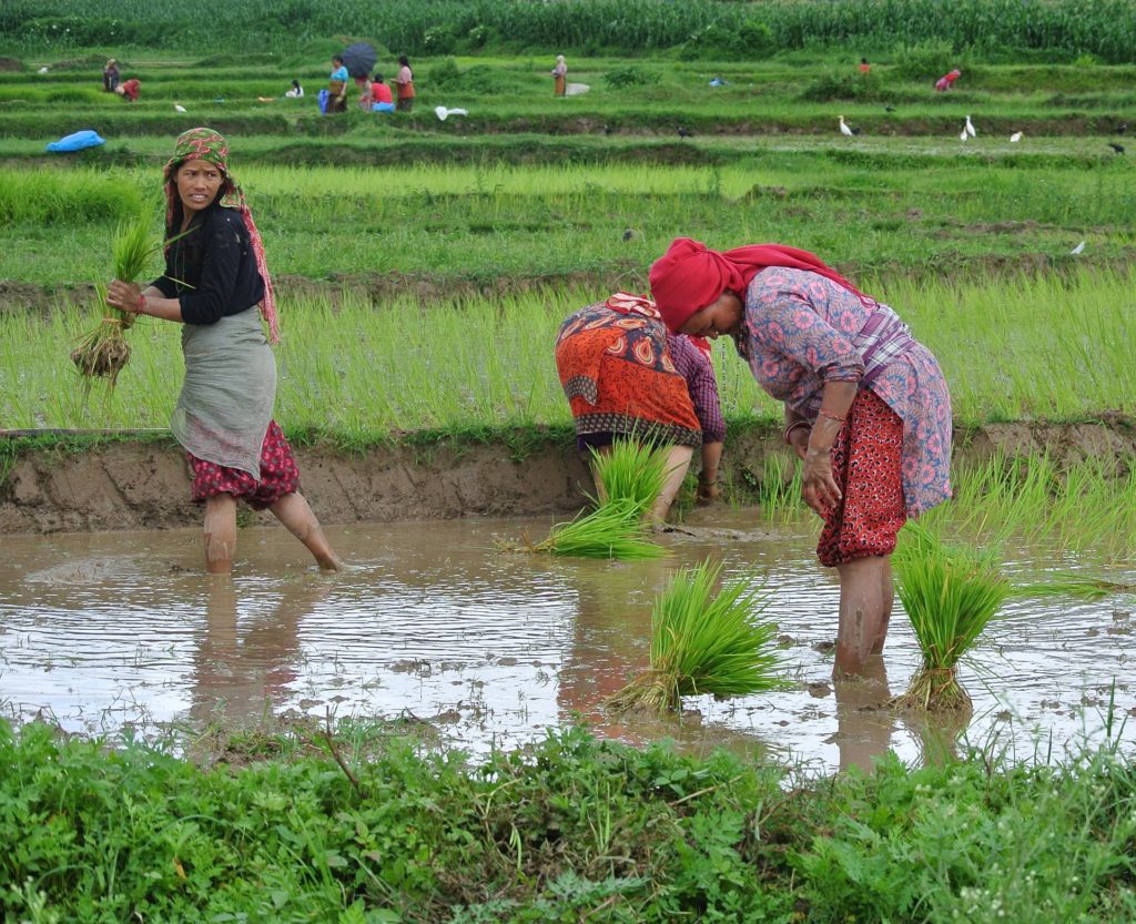 Nepal 2383343 1920 1024x833
