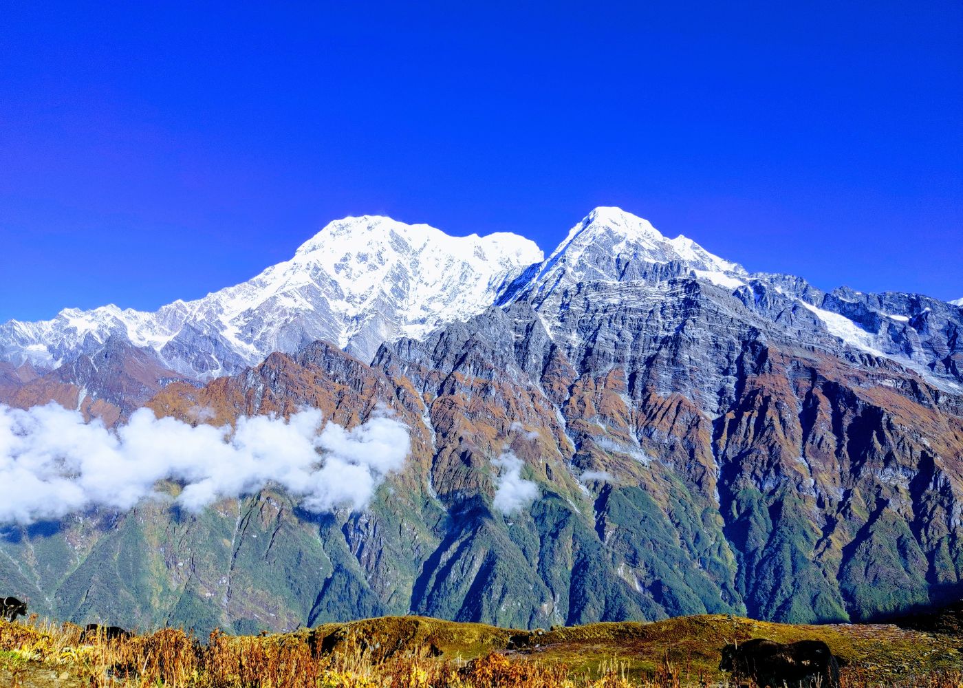 Mountain Seen From Poon Hill