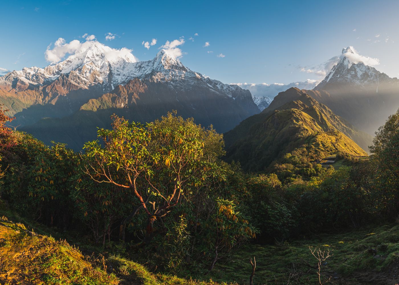 Mardi Himal Trek During Spring