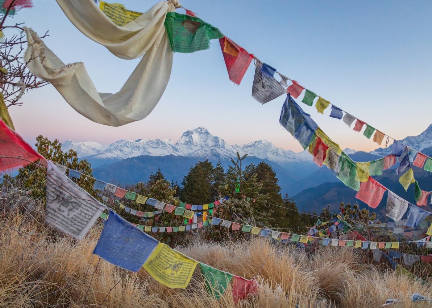 View From Poon Hill With Flags