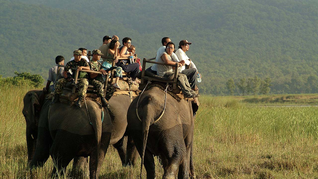 Best Time to Travel in Chitwan